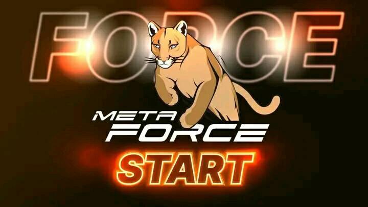 Metaforce Earning | Peshawar
