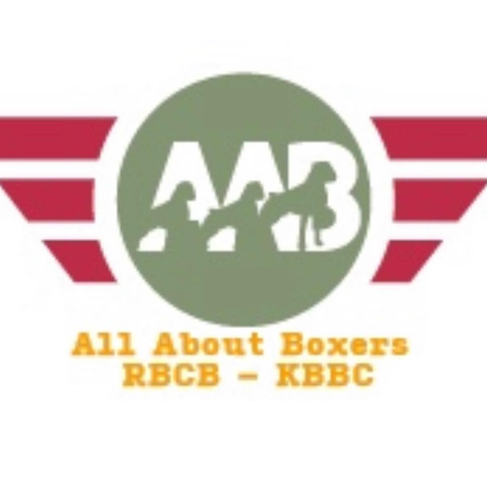 All About Boxers RBCB - KBBC