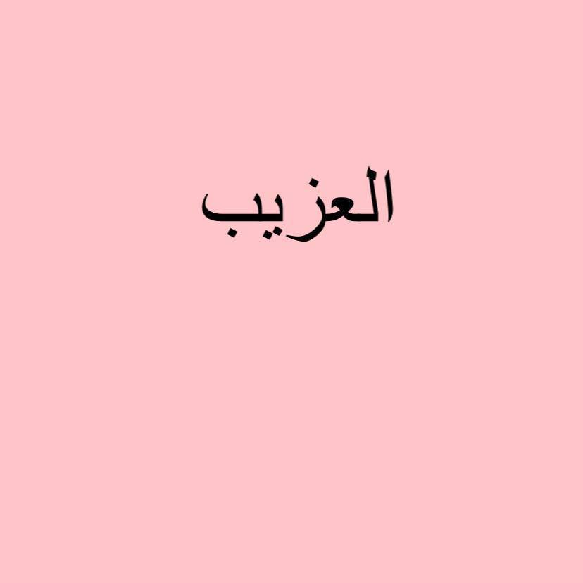 El AZIb community