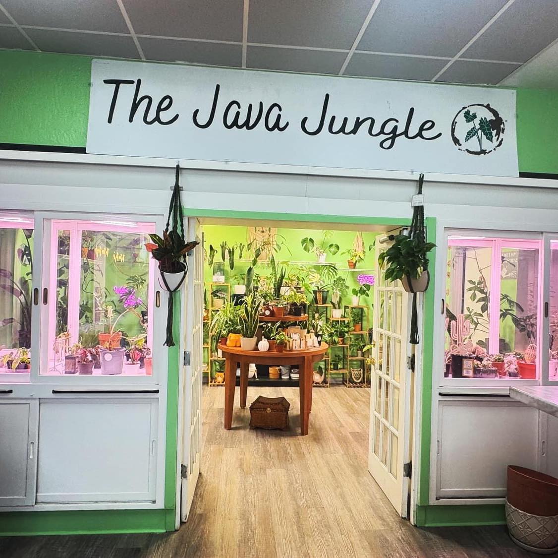 The Java Jungle | Lawton OK
