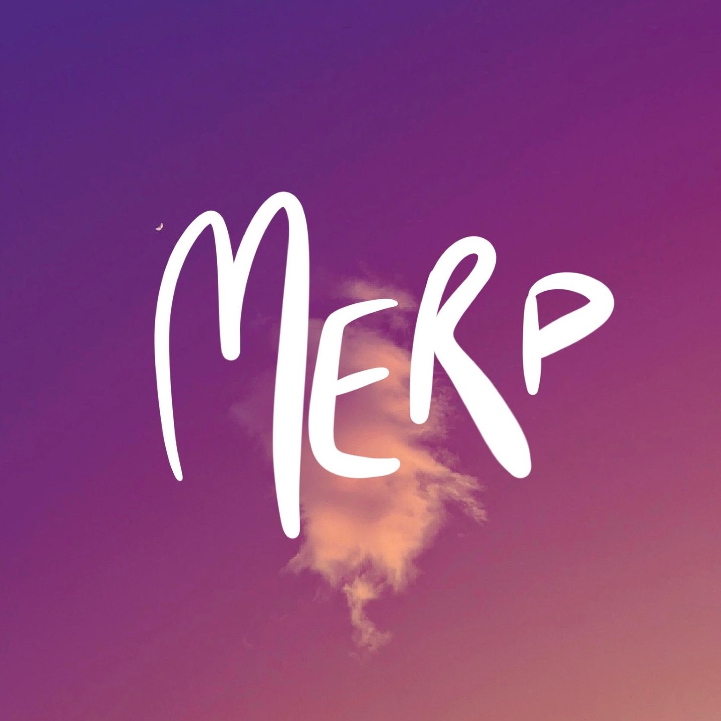 Merp Designs | Minneapolis MN