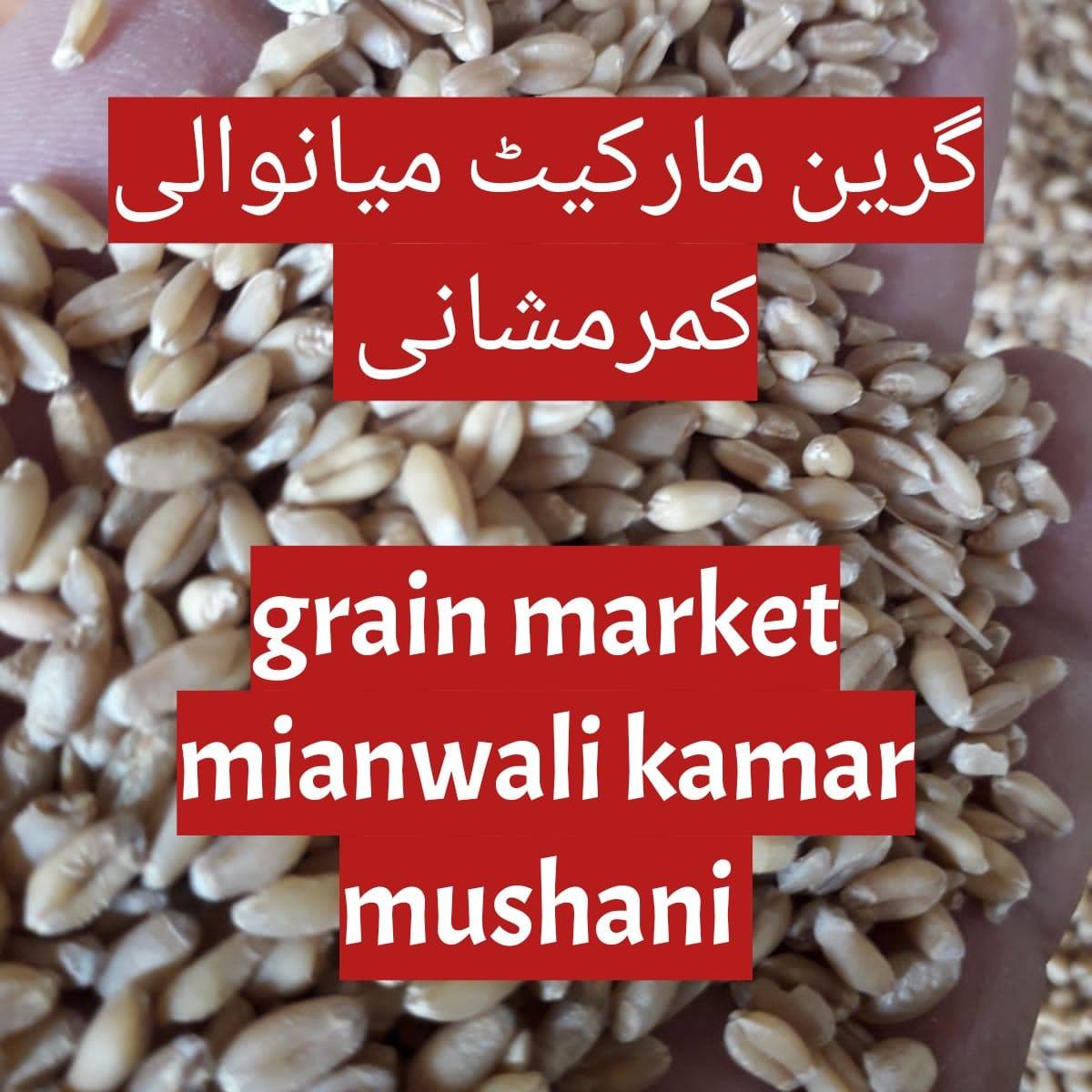 grain market mianwali kamar mushani | Mianwali