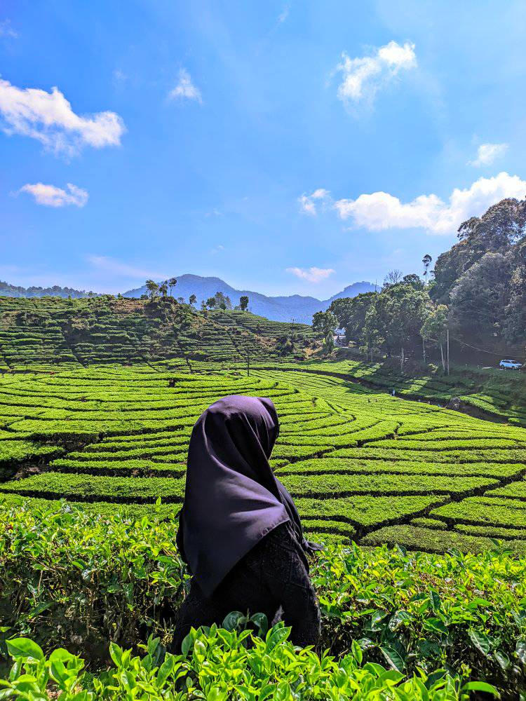 Stop meNormalisasi BOTI.. Tiada tempat untuk PENYIMPANGAN.. #semuaorang ...