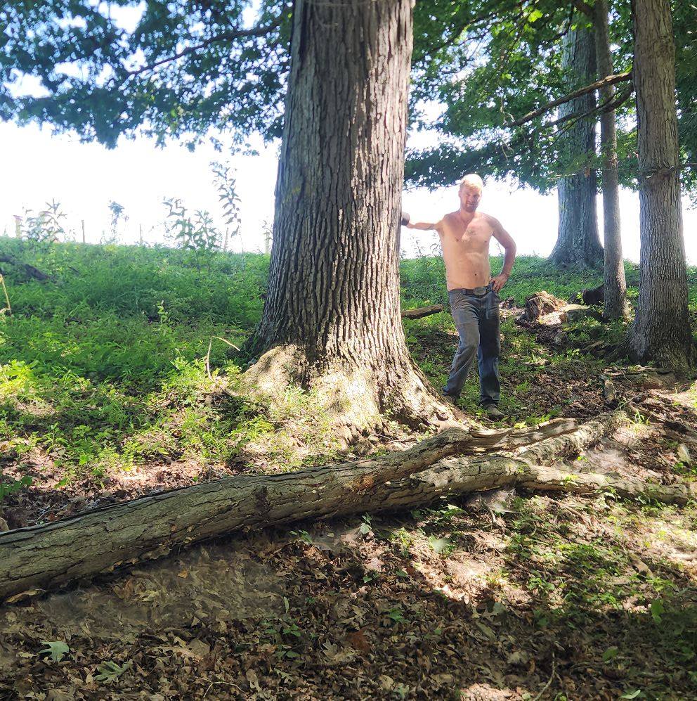 Top Notch Timber LLC | Woodsfield OH