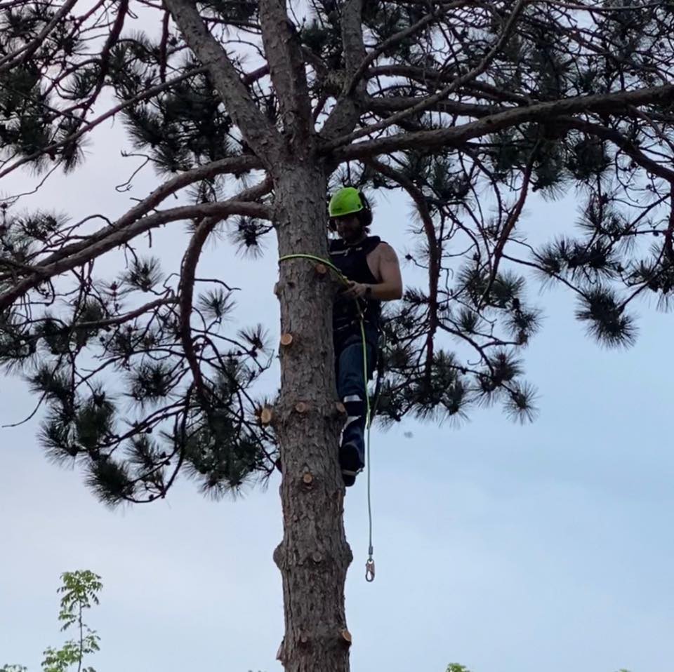 Adam’s Tree Service, LLC | Oxford WI