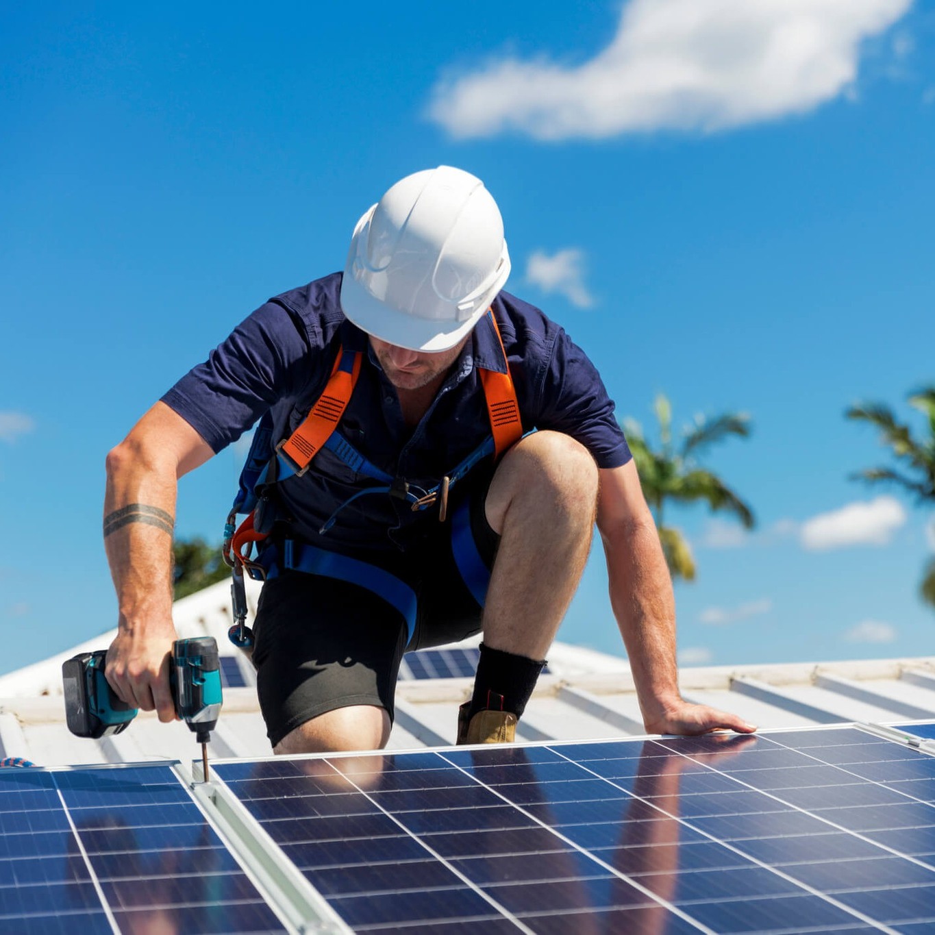 Solar Ready | Napier