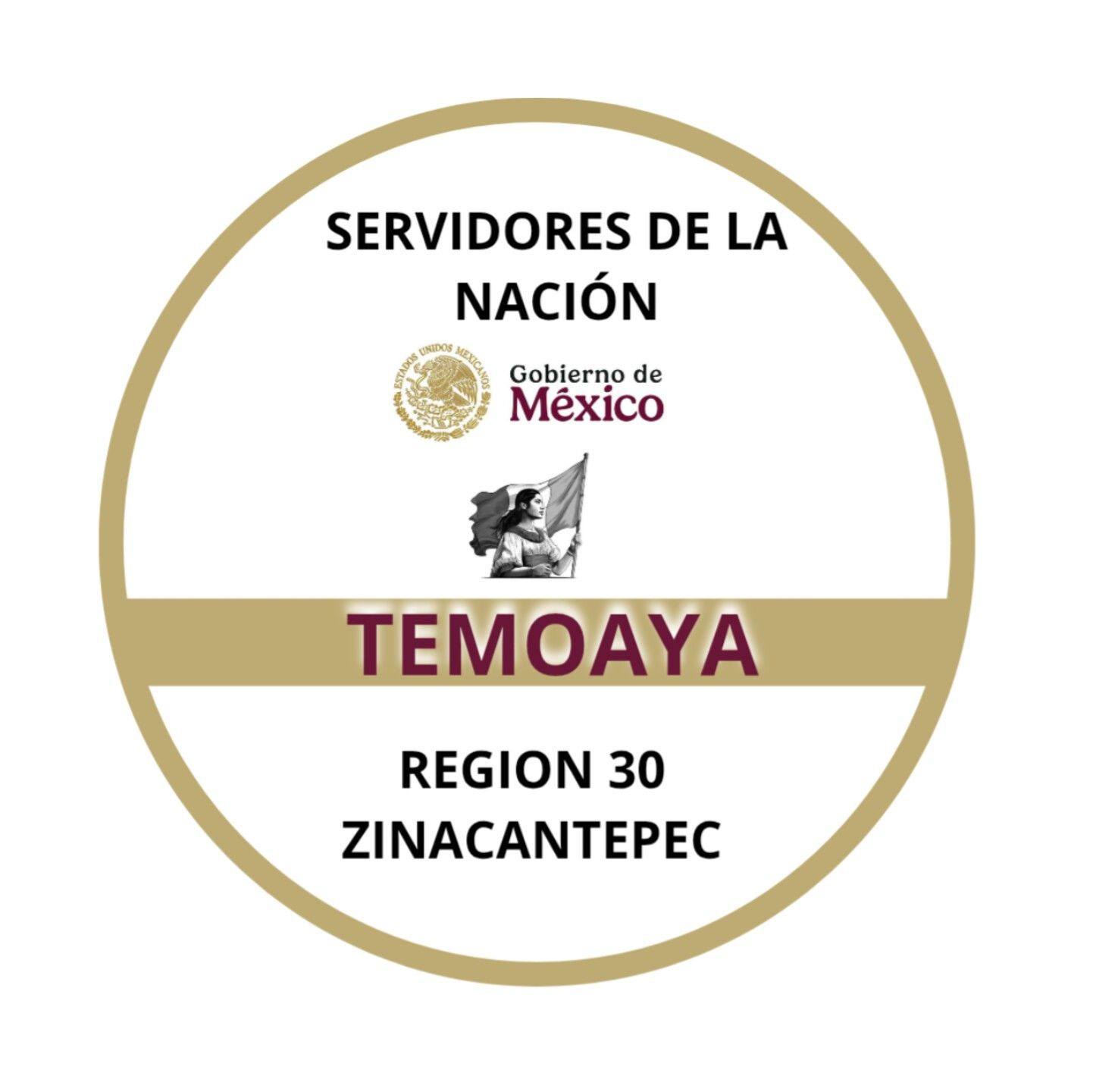 Servidores De La Nacion Temoaya