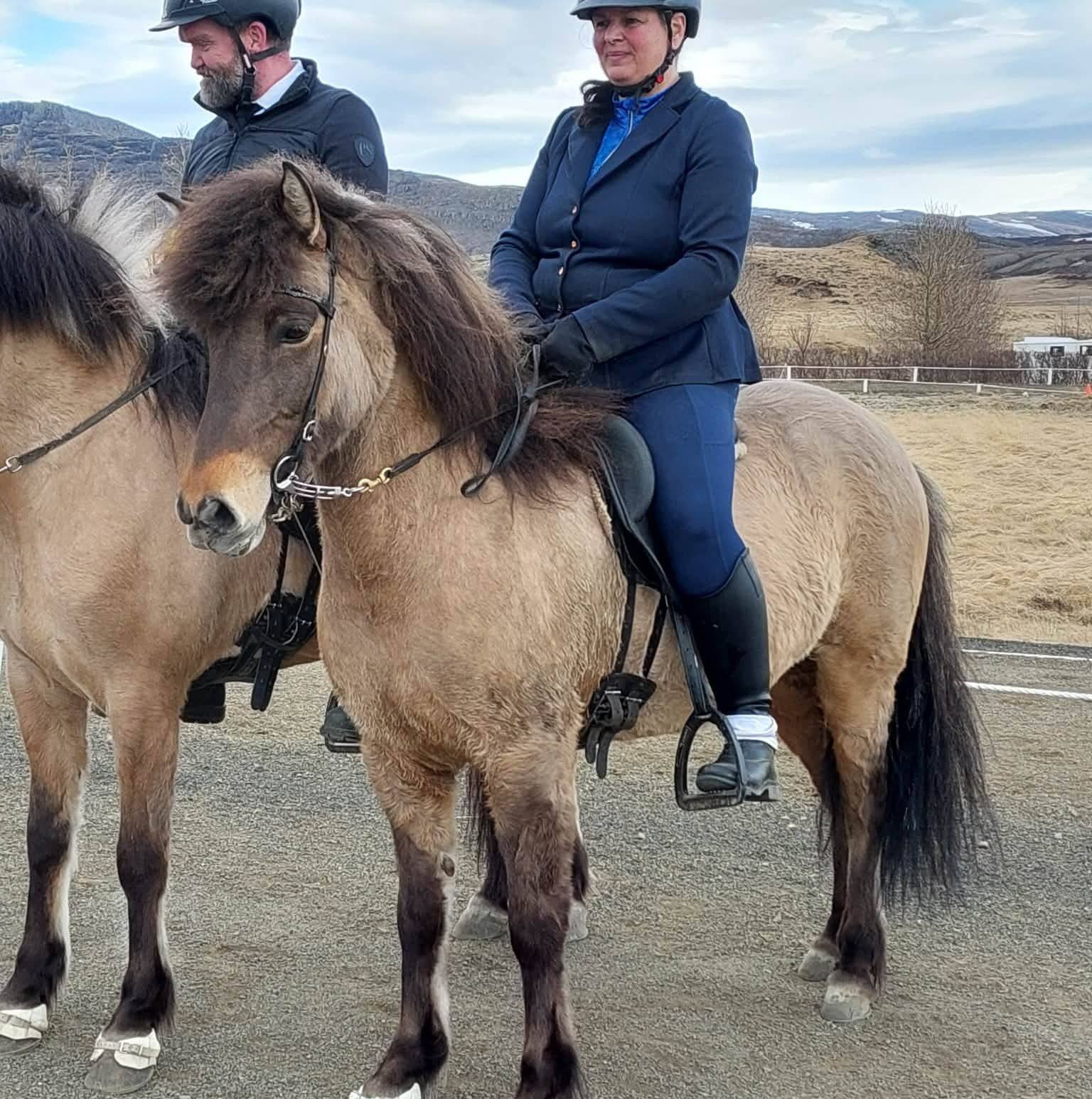 Super cool 7 year old gelding. 🦄 This guy is big (ca 148 cm) and ...