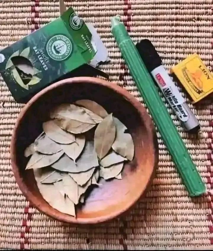 Mkhulu ngwenya yamanzi