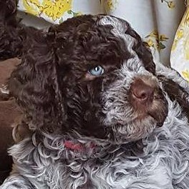 Profile for Truffleway
