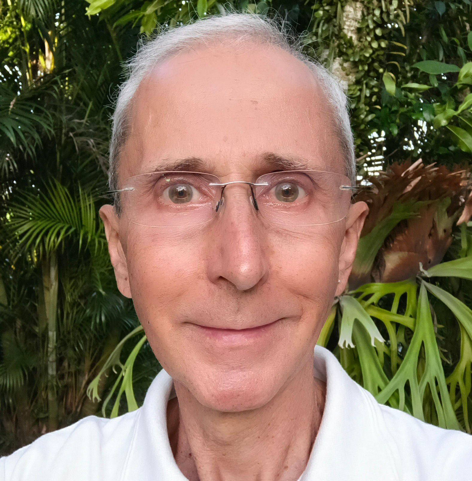 Andrew Wise