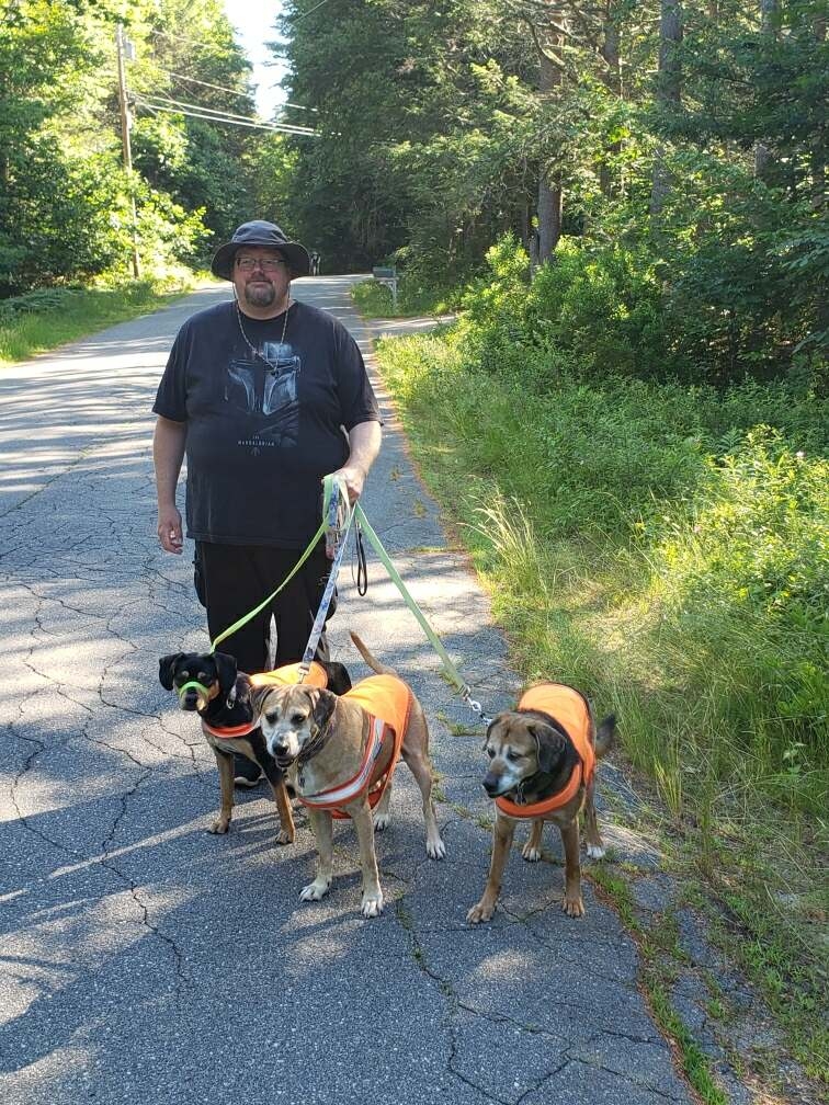 Nick's Never Ruff Dog Services