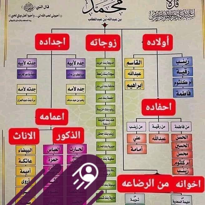 Mohammed - #سؤال_و_جواب شنو هي الاطعمة اللي بتشجع بكتريا أكرمانسيا ...