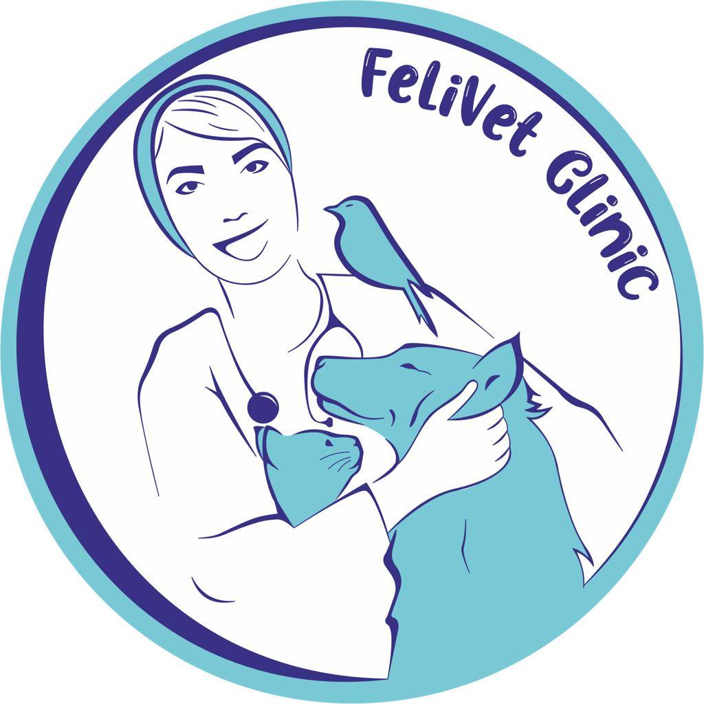 Felivet.clinic