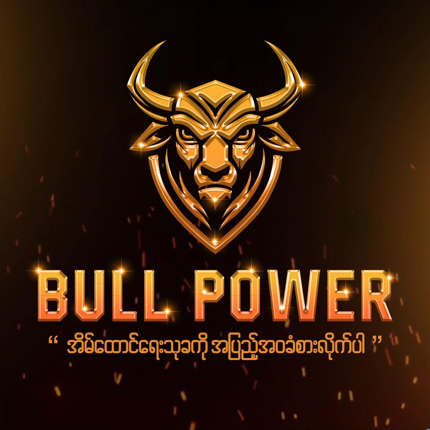 Bull Power Company Ltd. USA | Botataung