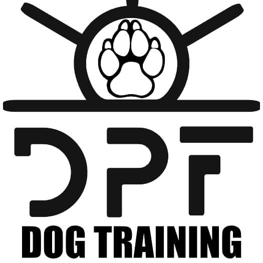 DPF Dog Training