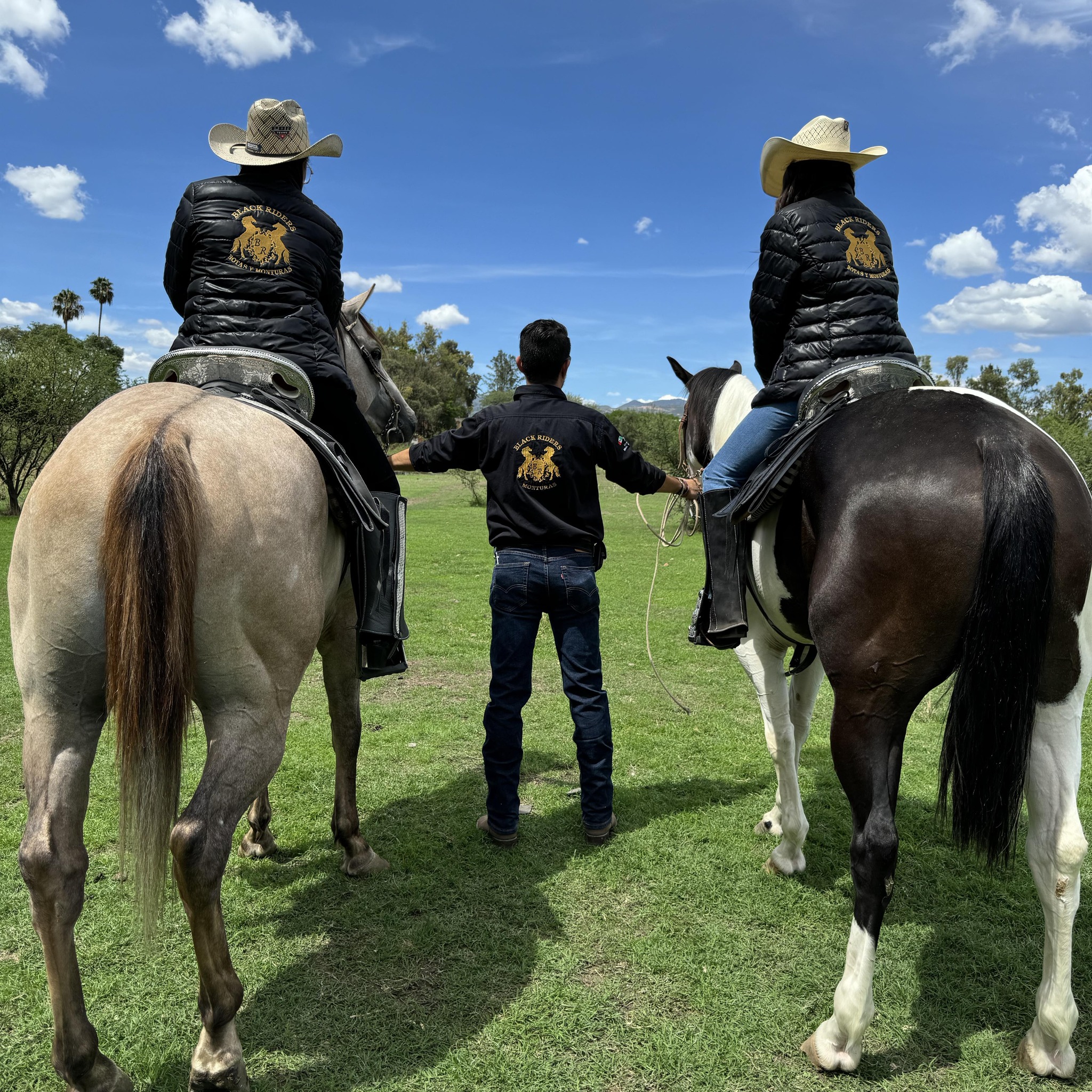 Monturas Black Riders | León