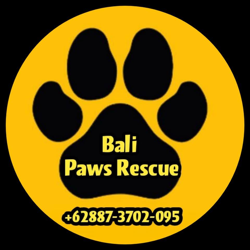 TLC House Dog Rescue Bali | Jimbaran
