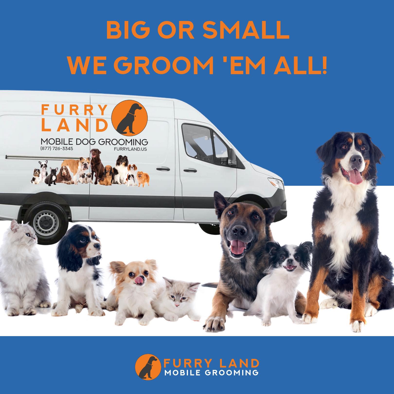Waco Texas Small Businesses & Sales | MoMo's Mobile Pet Grooming & Spa ...