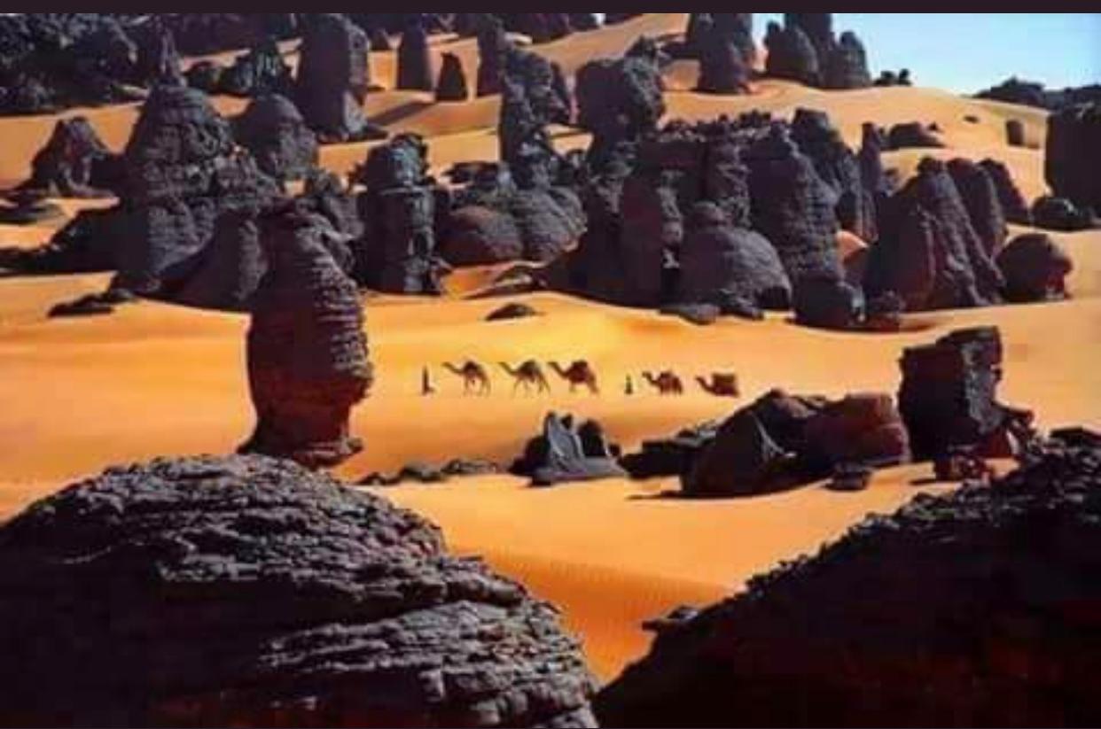 Libyan Acacus أكاكوس الليبي