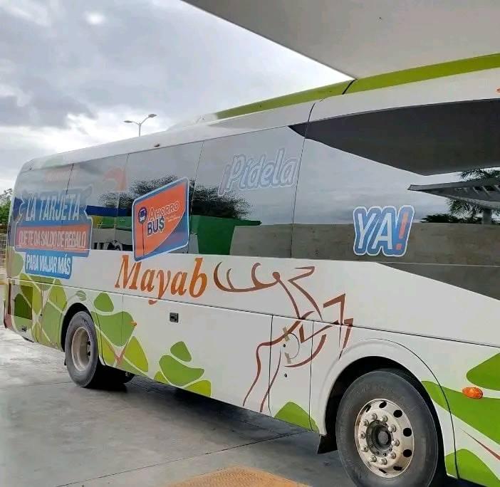 Autobuses Mayab | Mérida