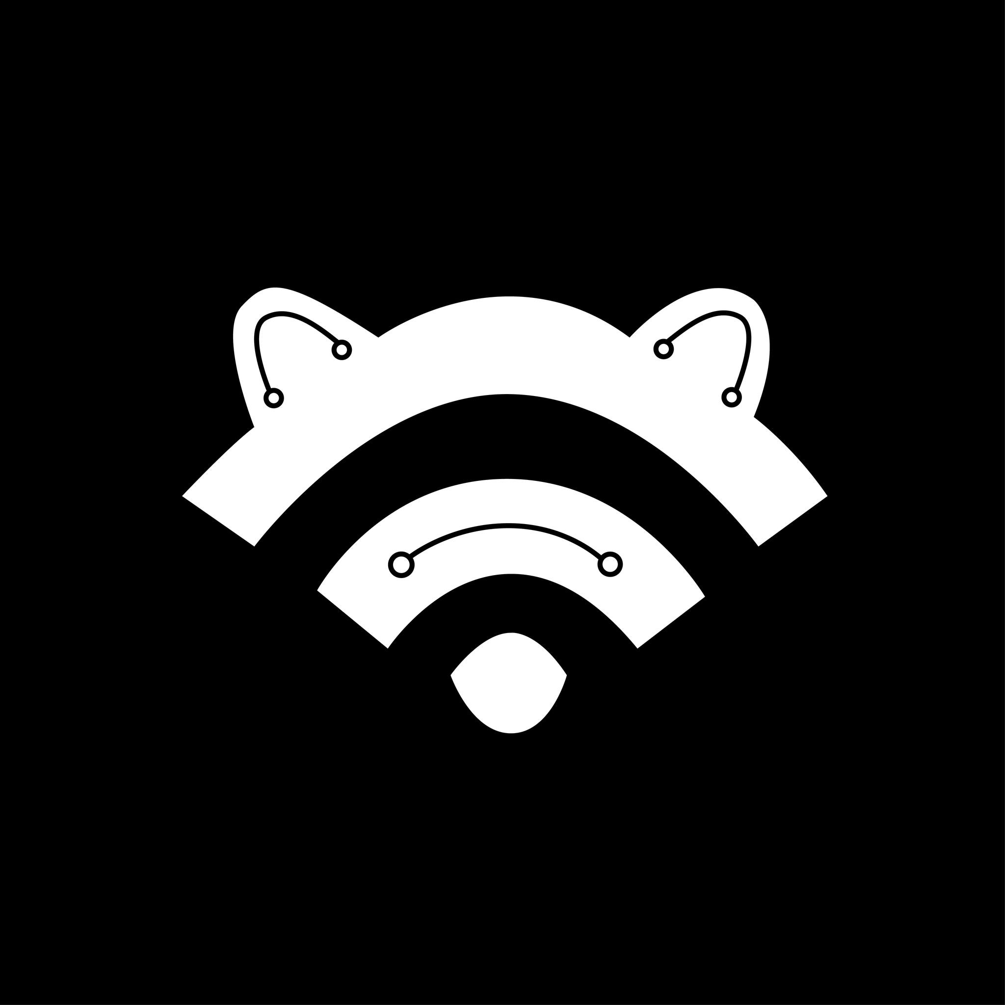 TechRacoon