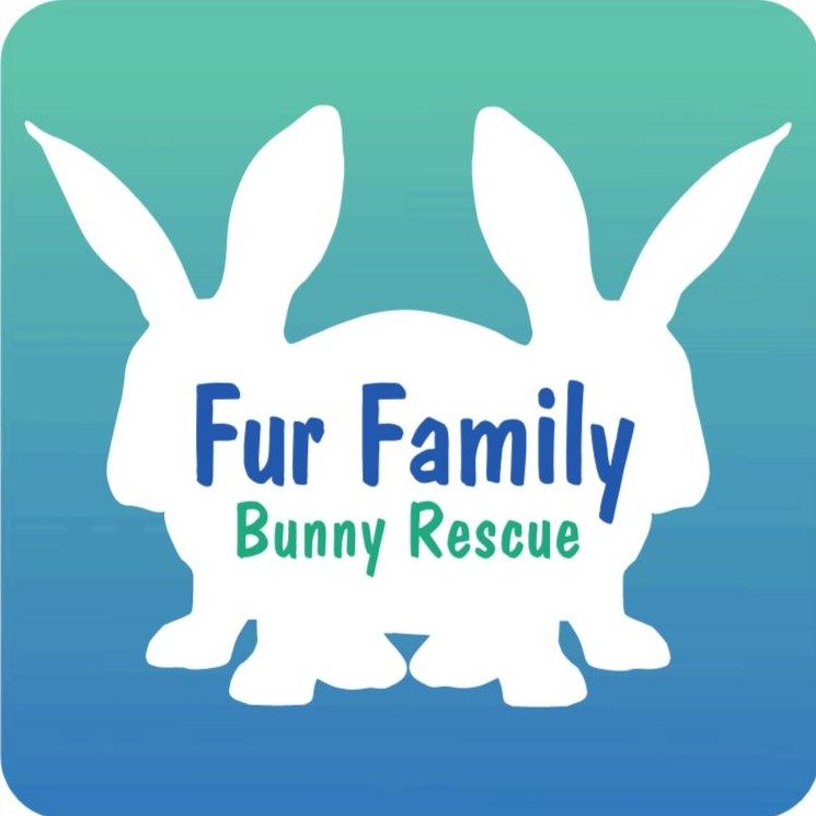 Fur Family Bunny Rescue | Kalispell MT
