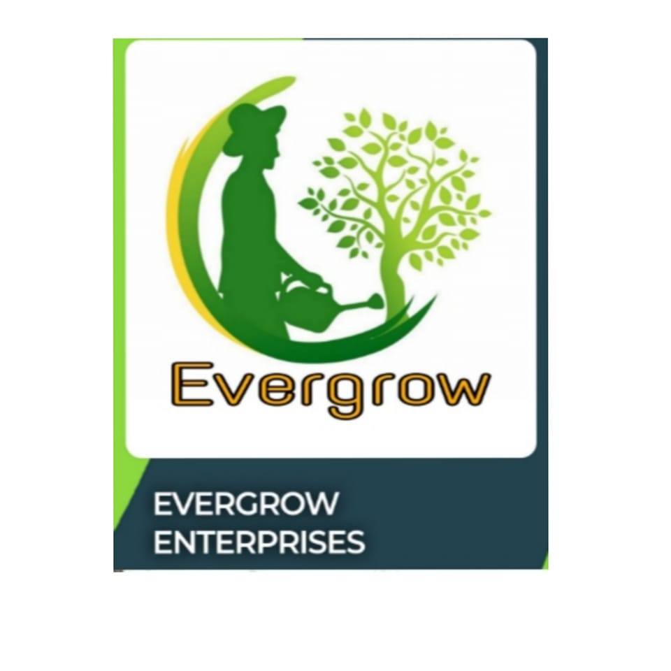 Evergrow organic fertilizer | Shahjahanpur