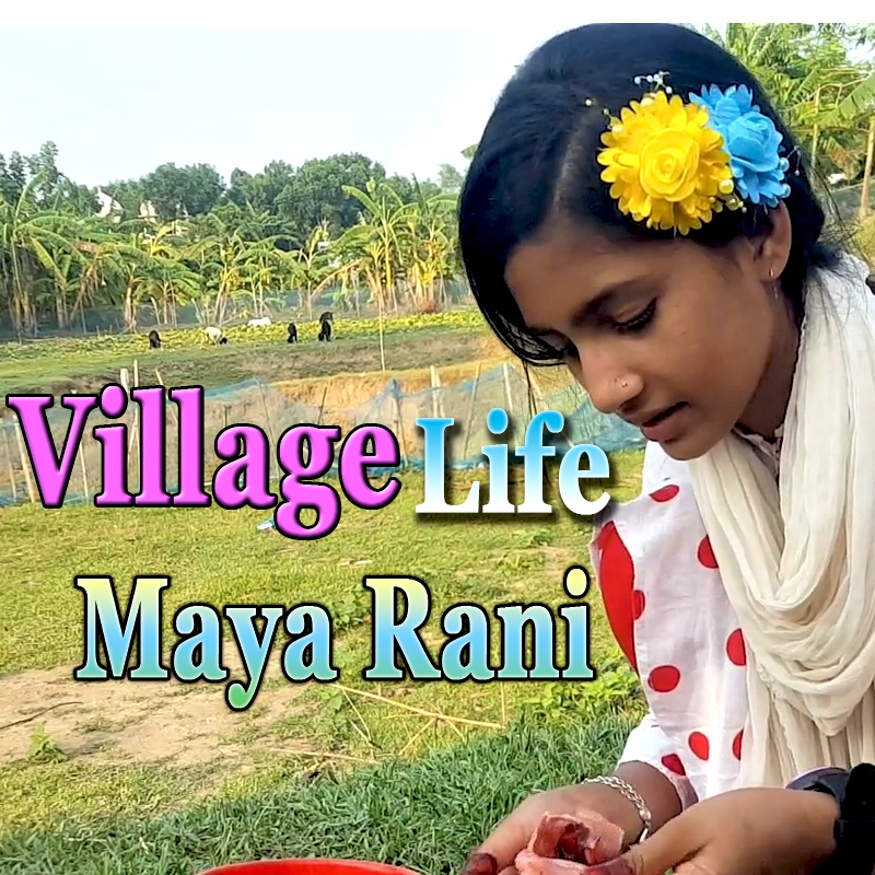 Village Life Maya Rani