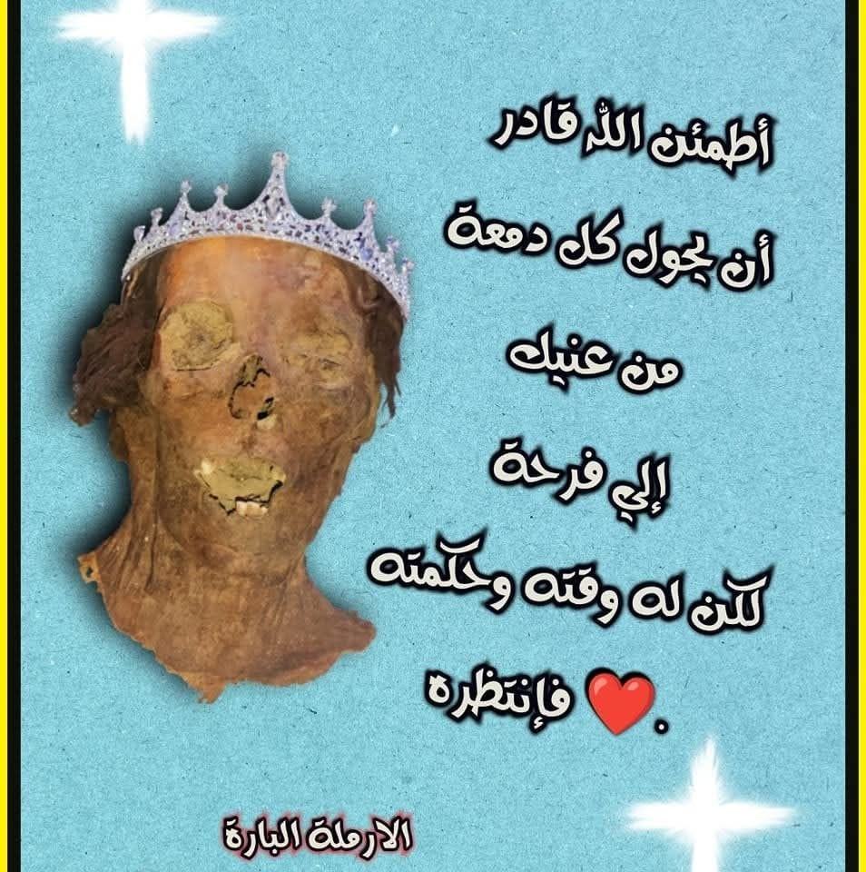 الشهــيدة ســــارة الارملة البارة | Cairo