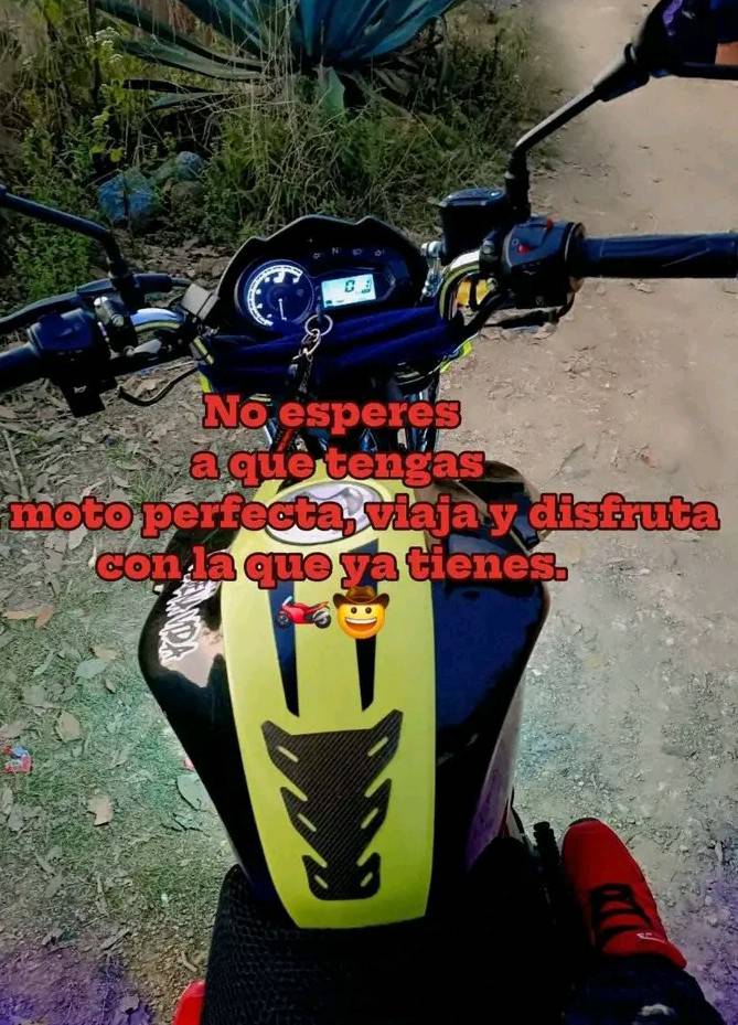 El tigre v3 #laguerrillamusick | La Guerrilla Musick