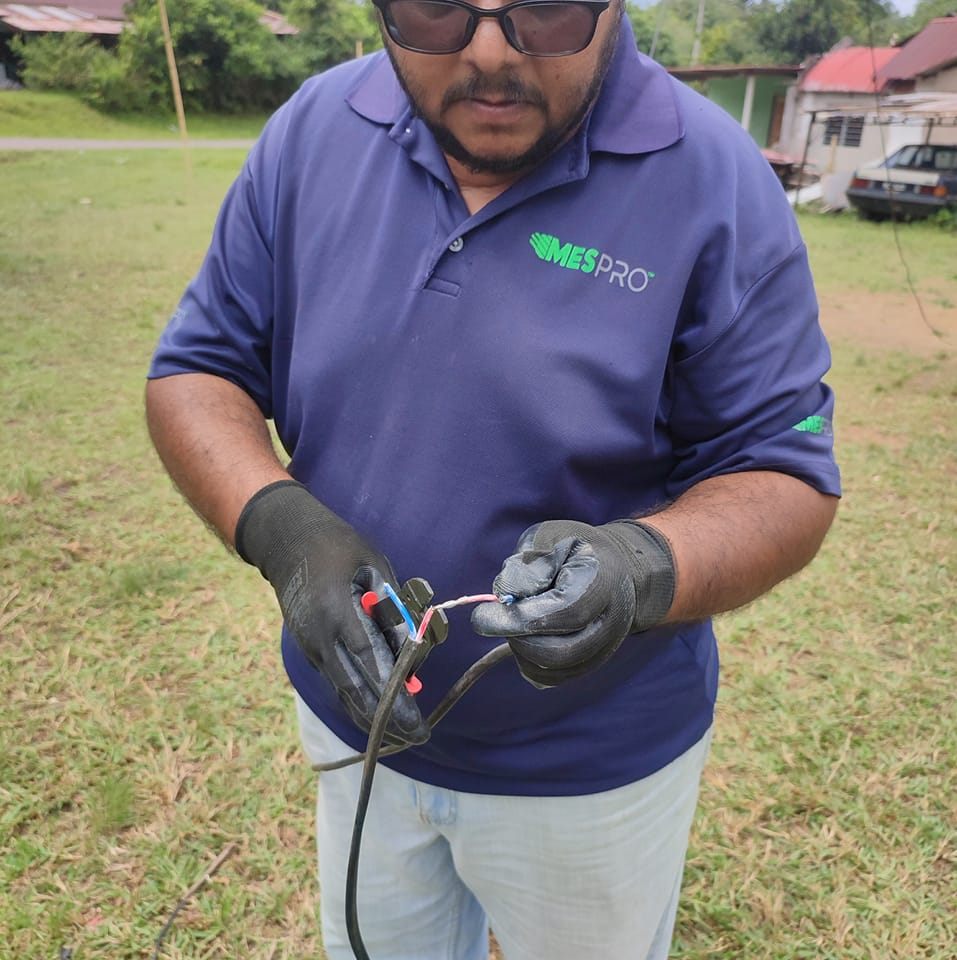Cuckoo Malaysia by Shahril