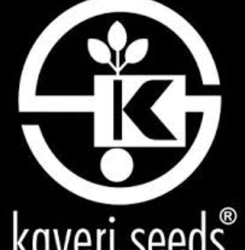 Kaveri seeds Pvt LTD Pakistan | Layyah