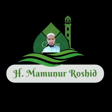 H. Mamun Roshid