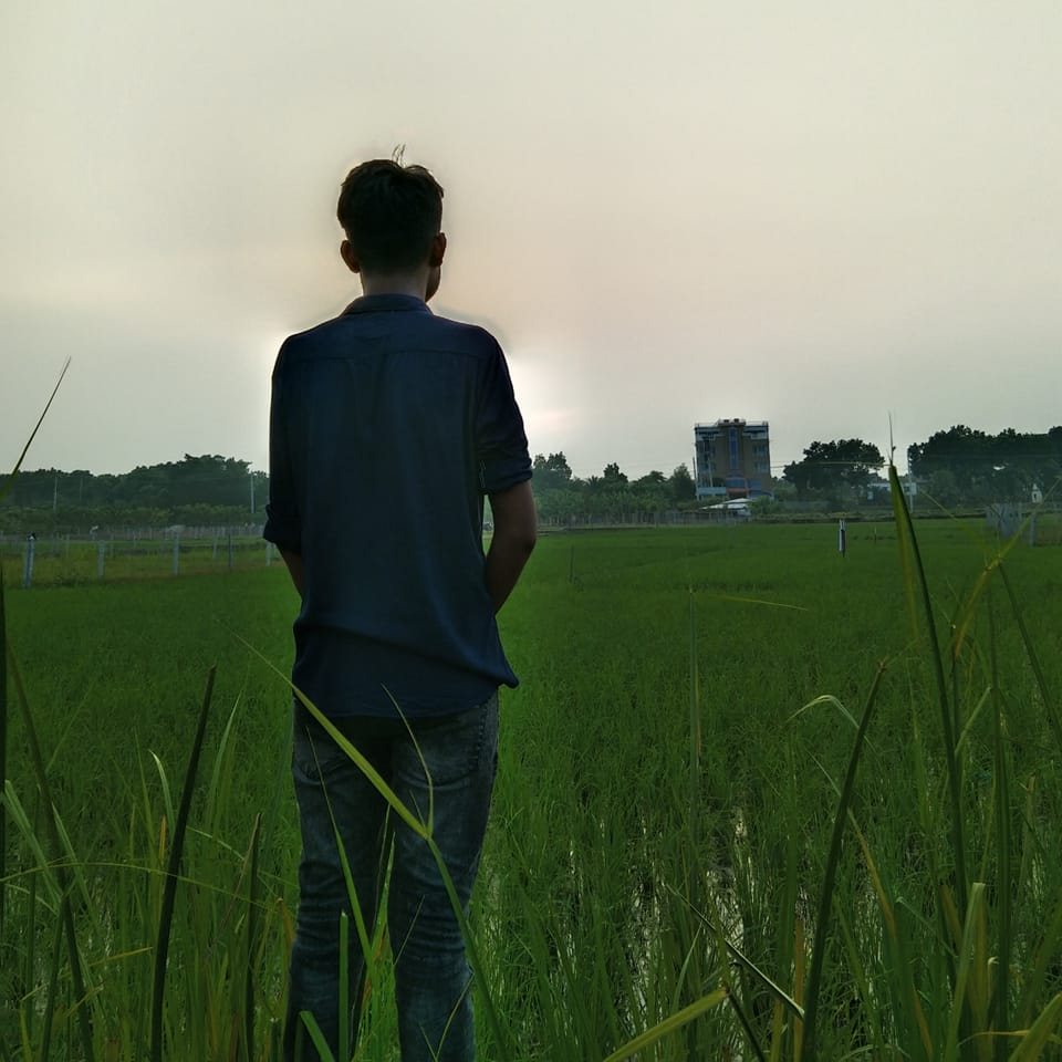 Mehedi Hasan Raj