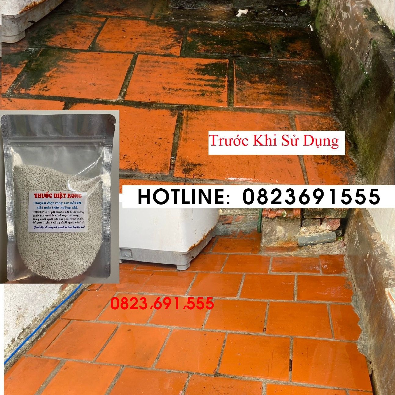 Tẩy Rong Rêu Đơn Giản Hiệu Quả