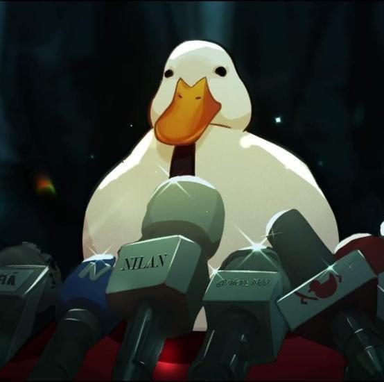 Doc Duck