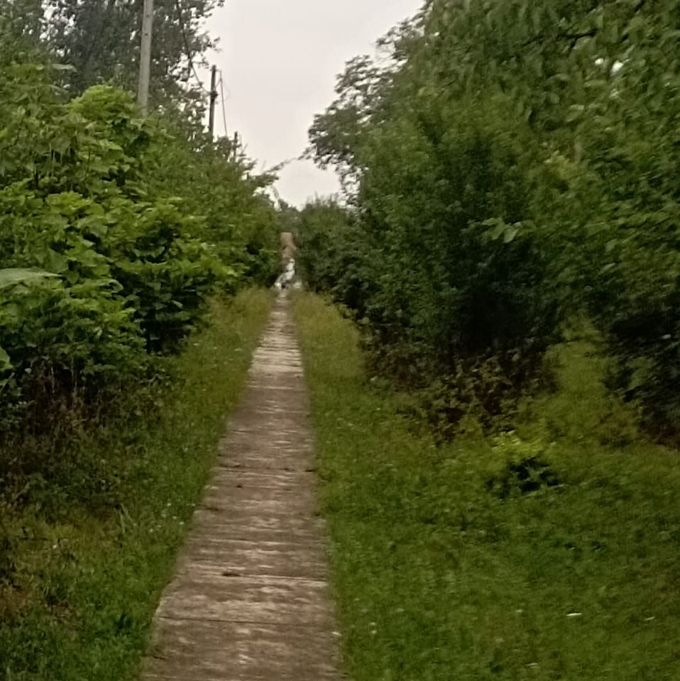 Fišerov Salaš | Ruma