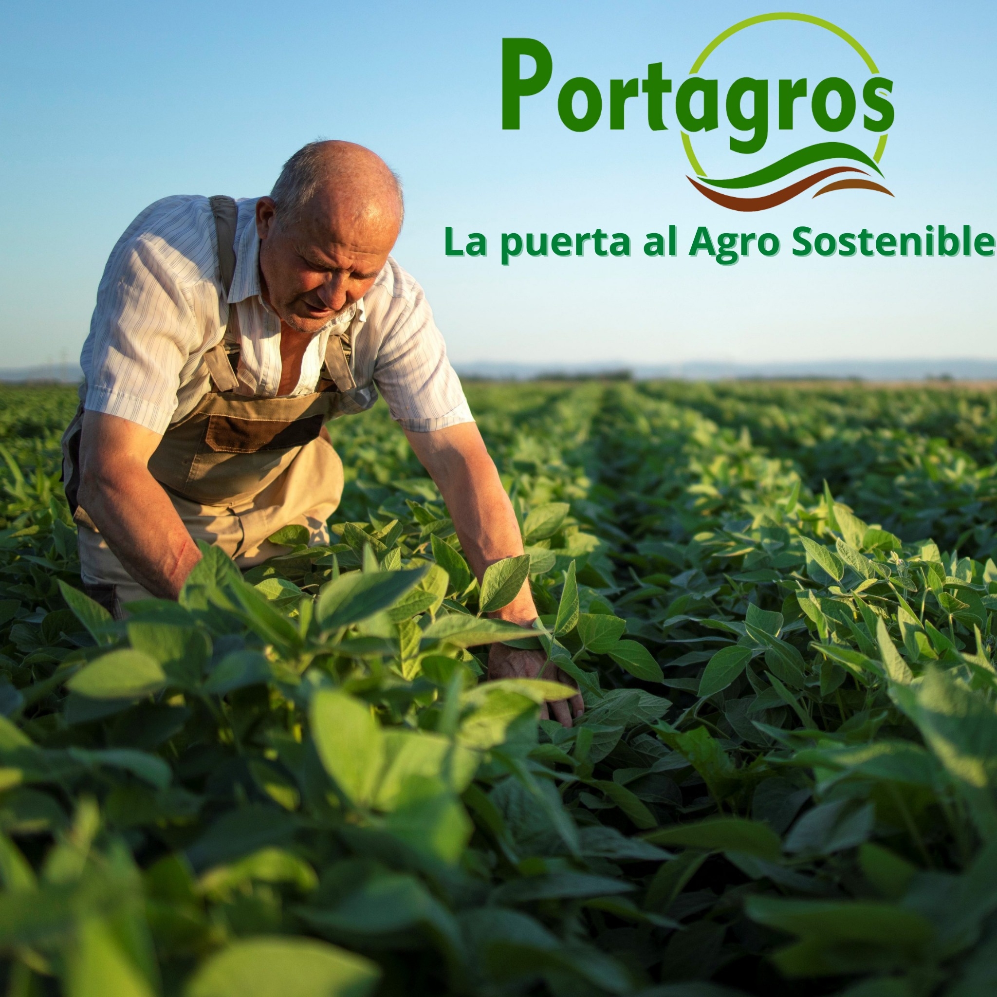 Portagros Zomac | Florencia