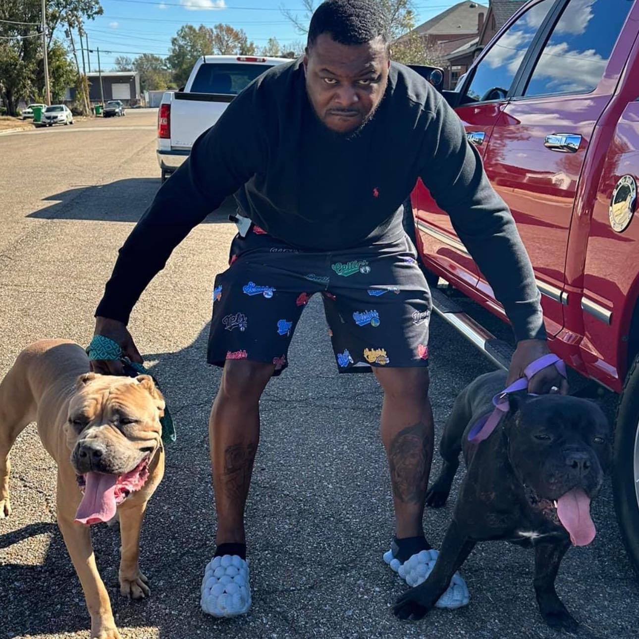 CMD Kennels