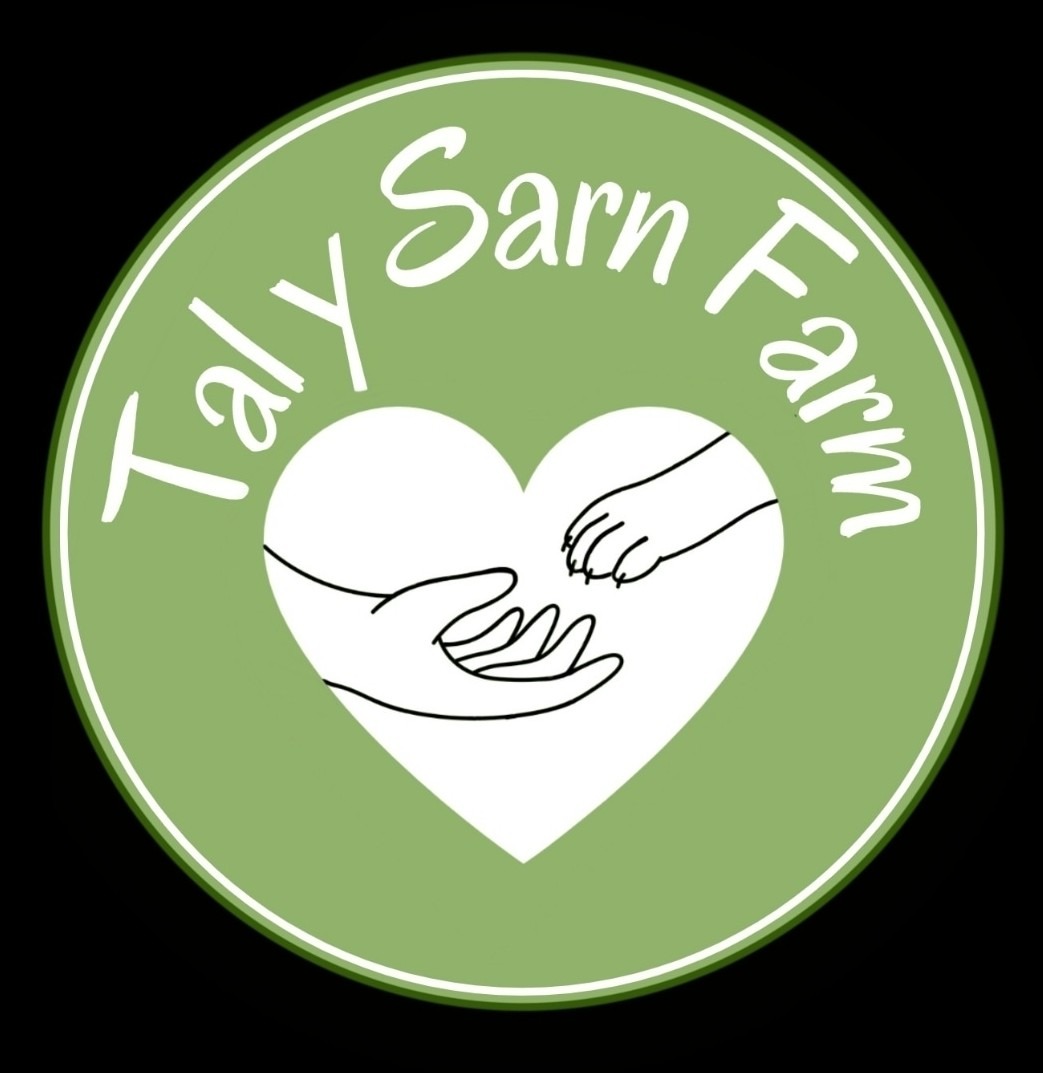 Tal y Sarn Farm | Llanfairpwllgwyngyll