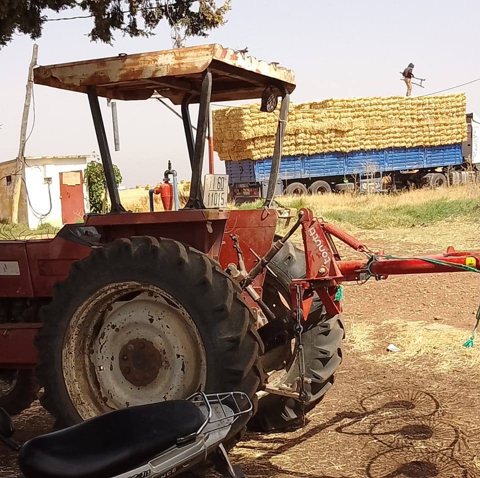 اجو نتبادلو حرفة كول مايوفيد€deutz fahr