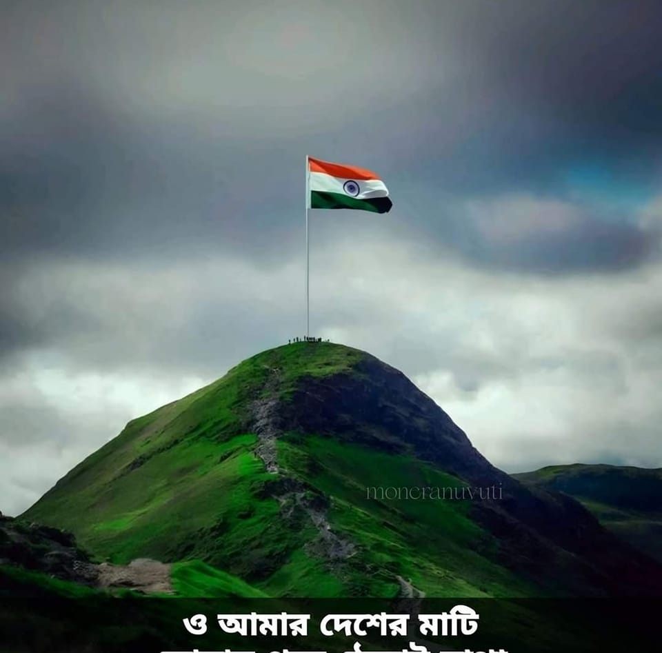 Mamun Rashid