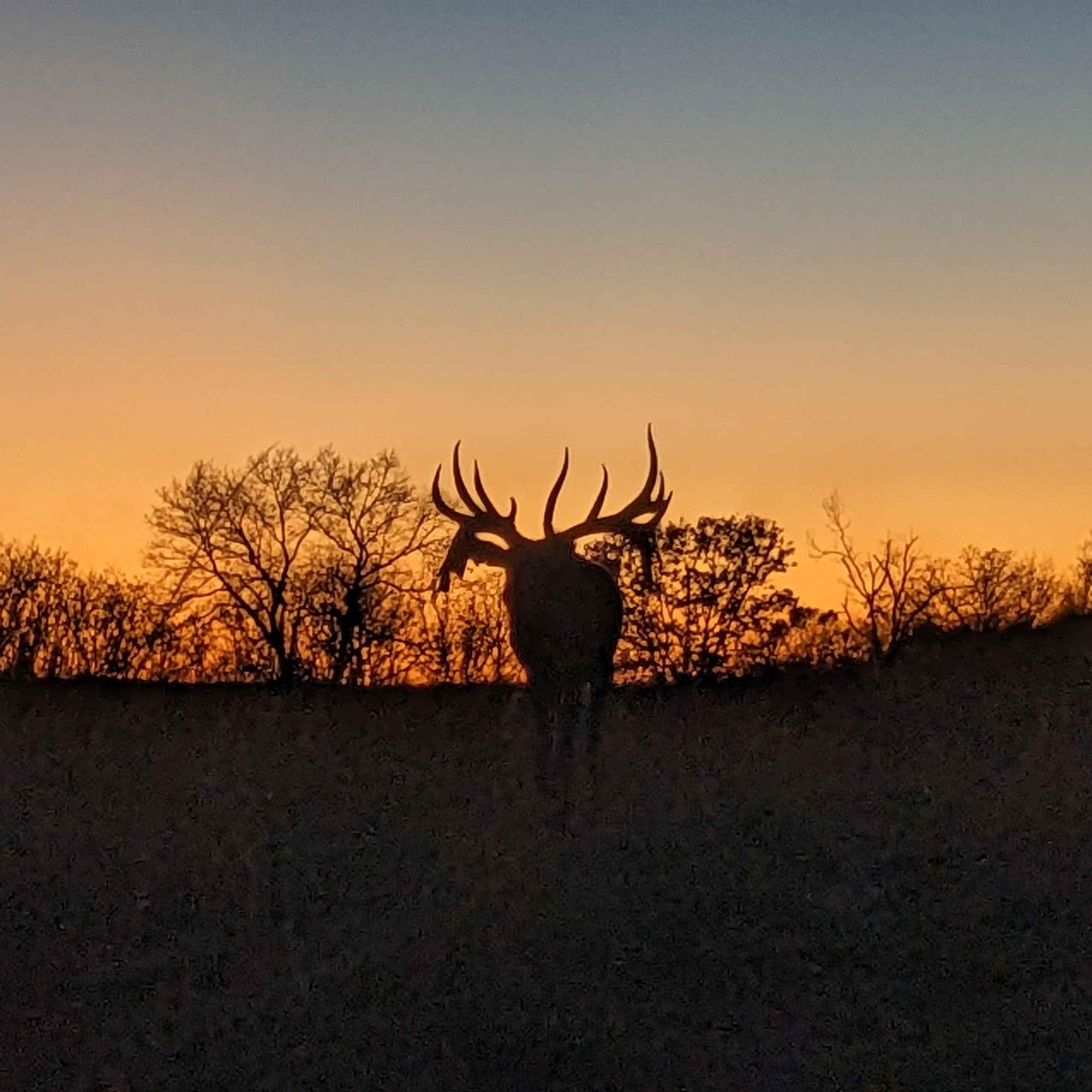 Oak Ridge Ranch | Macks Creek MO