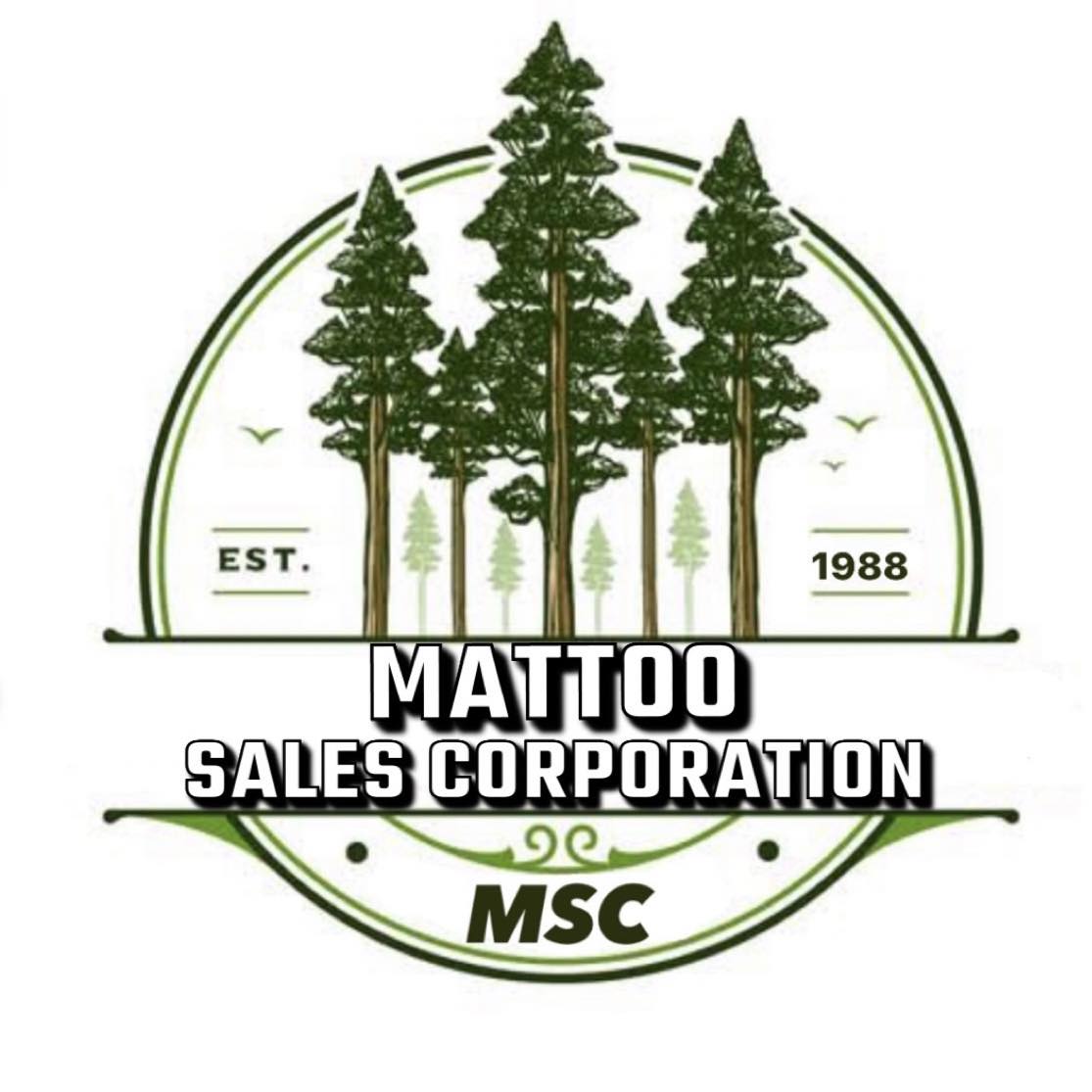 Mattoo Sale’s Corporation J&K Hawal Eidgah link road | Srinagar