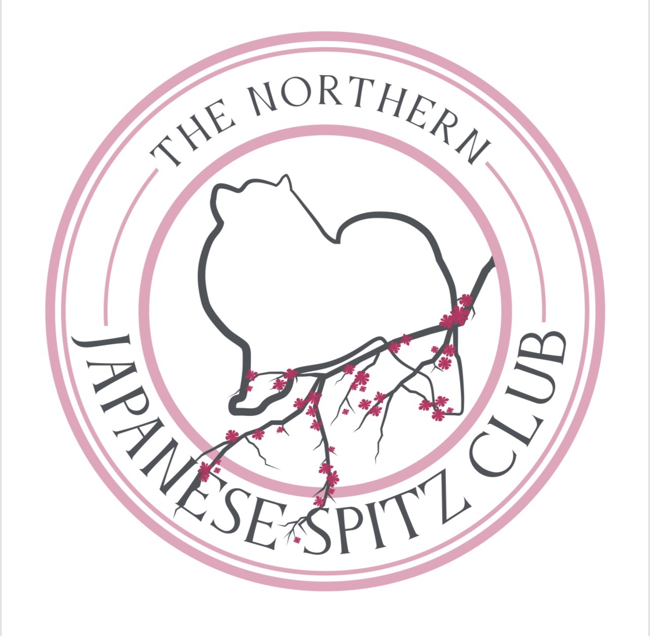 The Northern Japanese Spitz Club