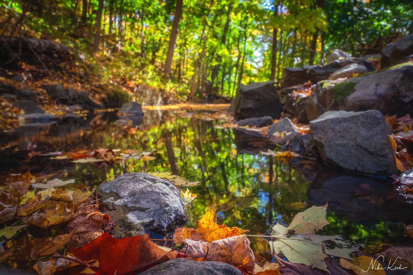 Framing - ••• ︎ Exploring Cold Spring ︎••• Taken on a recent day trip ...