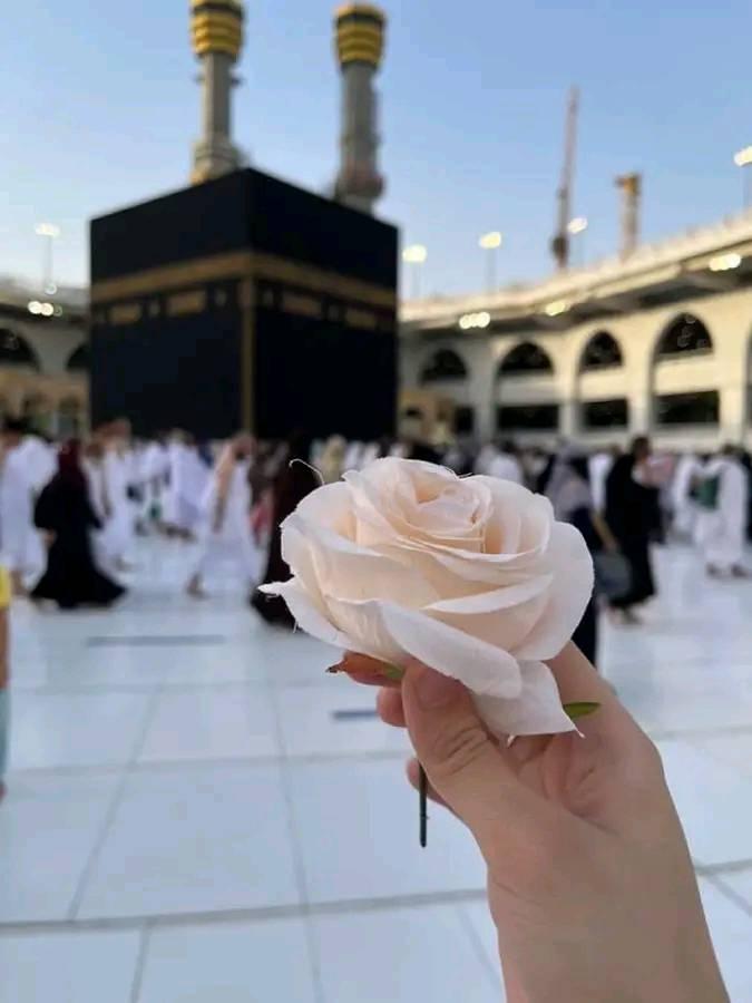ام نور