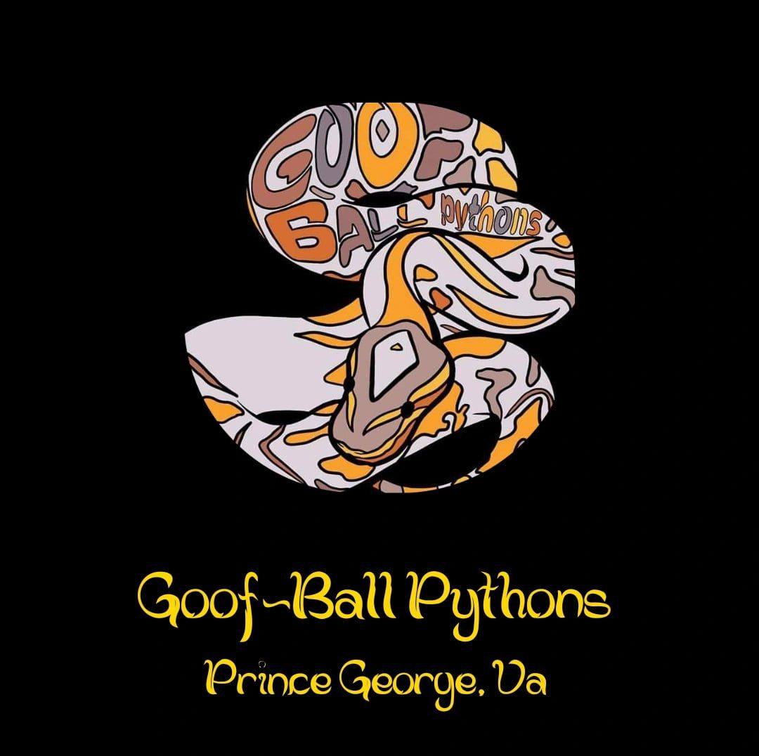 Goof-Ball Pythons | Prince George VA