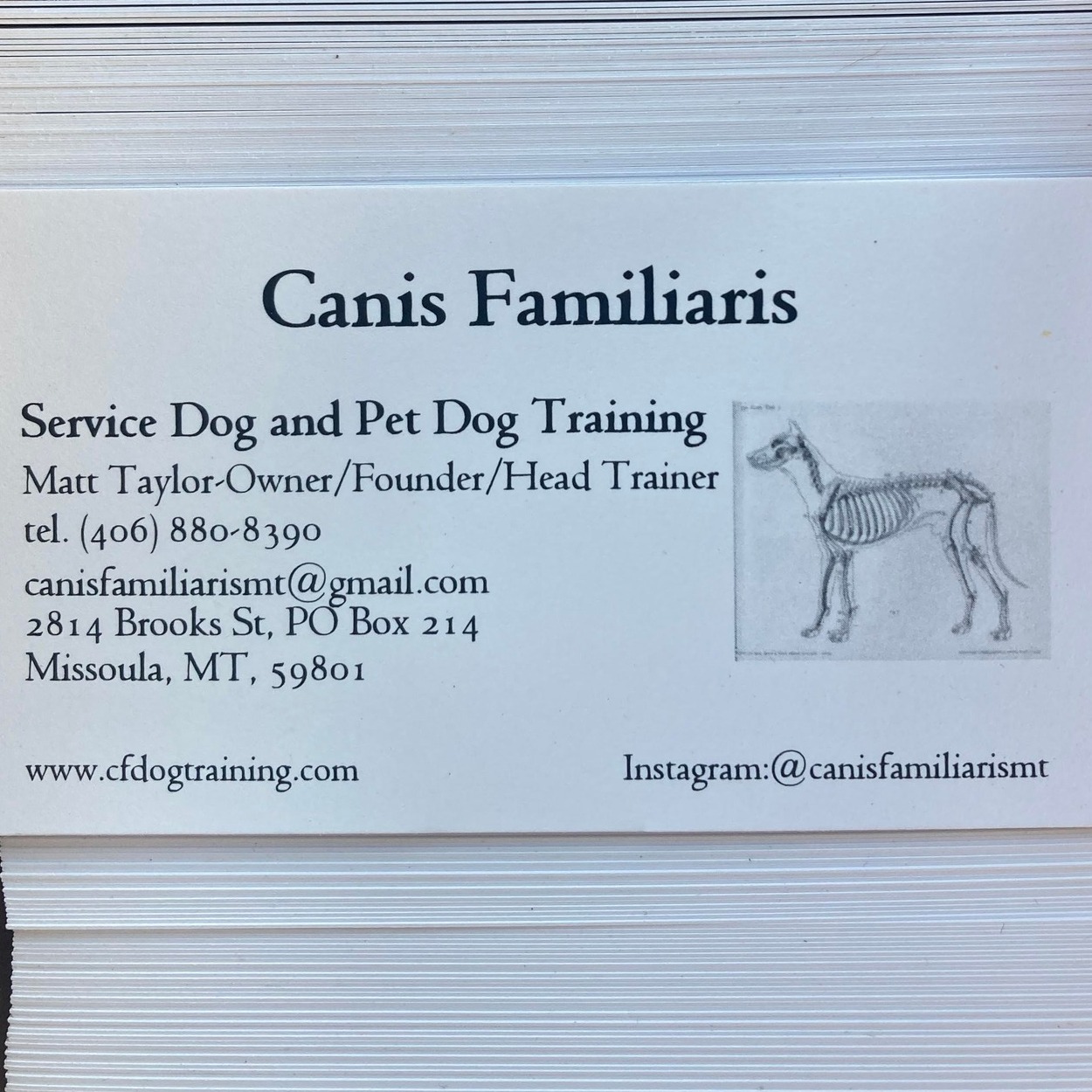 Fresh Look at Canis Familiaris Dog Training